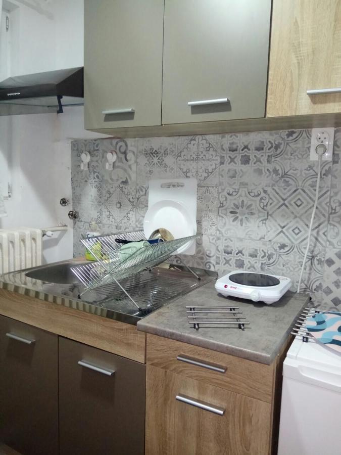 Tatjanina Garsonjera Apartment Суботица Екстериор снимка